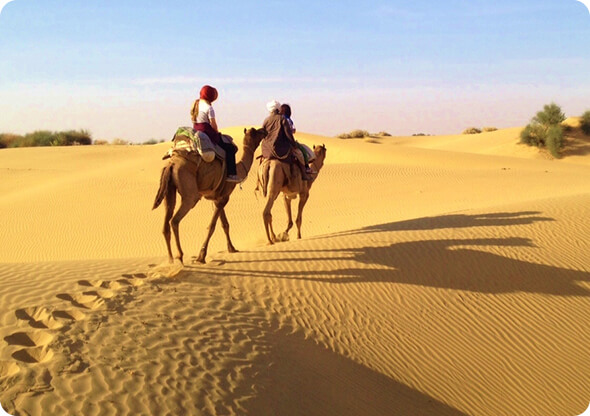 jaisalmer-camel-safari-hukam-rajasthan-mobile